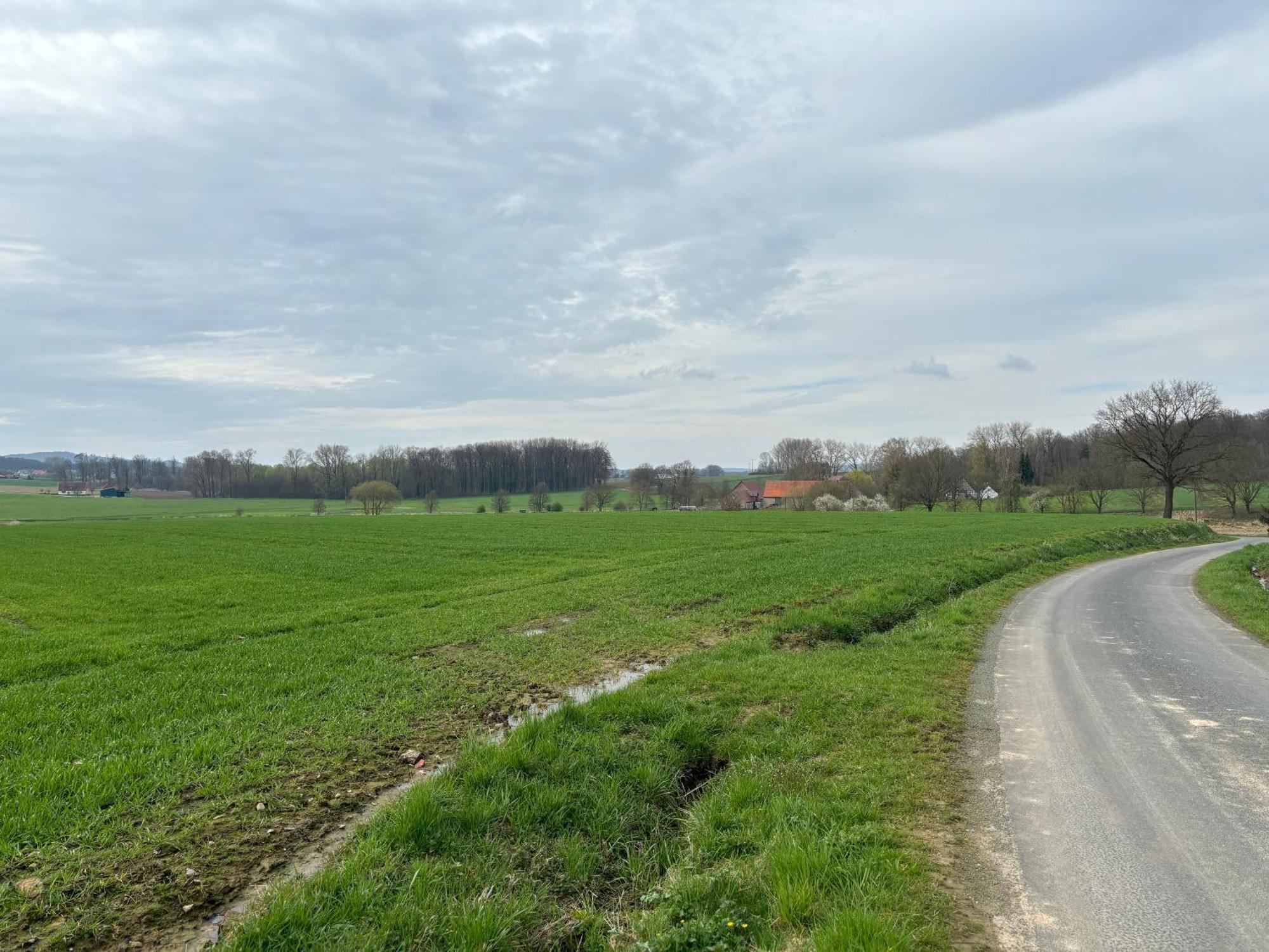 Scheunenwohnung In Der Natur Melle Exterior foto